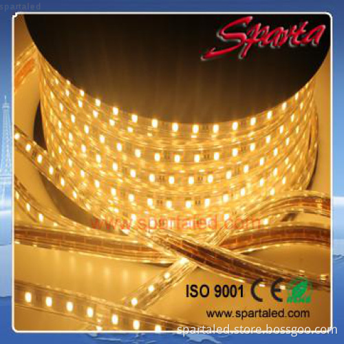 IP67 Flexible Waterproof 60 LED strip light 220v Christmas lighting